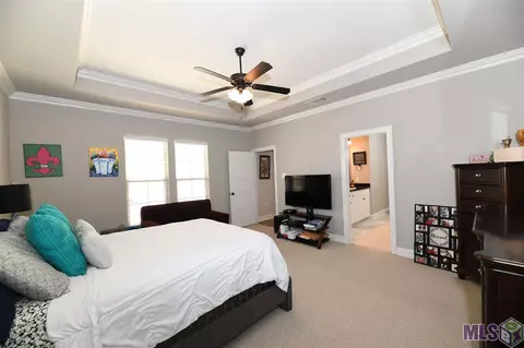 14020 Wetherly Dr, Baton Rouge, LA 70810 photo 14