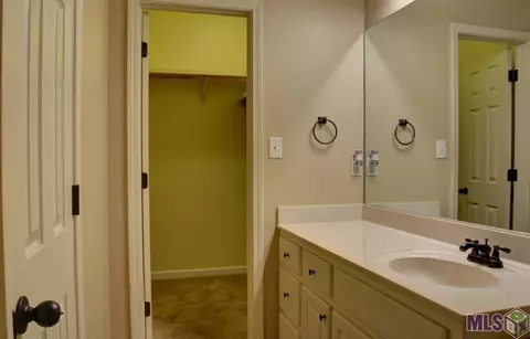 30210 Daffodil Dr, Walker, LA 70785 photo 20