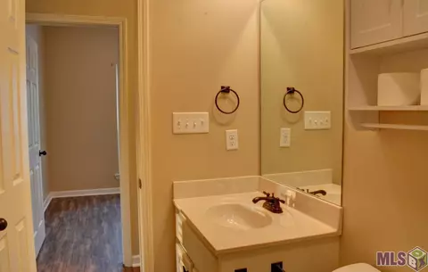 30210 Daffodil Dr, Walker, LA 70785 photo 12