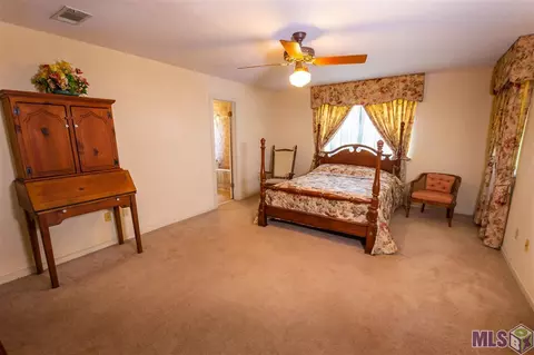 30547 N Corbin Rd, Walker, LA 70785 photo 20