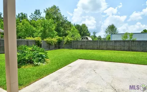 33820 Natures Way, Walker, LA 70785 photo 27