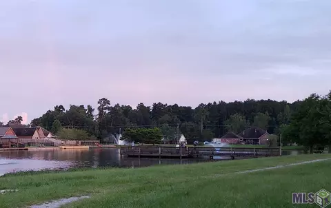 33820 Natures Way, Walker, LA 70785 photo 35