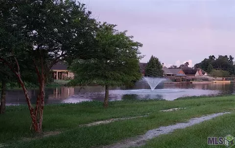 33820 Natures Way, Walker, LA 70785 photo 36