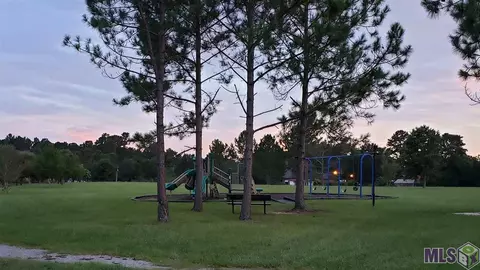 33820 Natures Way, Walker, LA 70785 photo 32