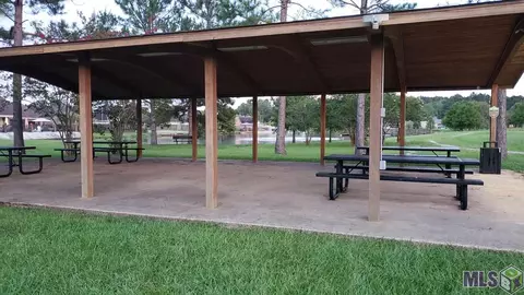 33820 Natures Way, Walker, LA 70785 photo 33