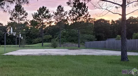 33820 Natures Way, Walker, LA 70785 photo 34