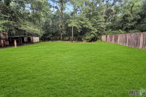29399 Burns Ln, Walker, LA 70785 photo 9