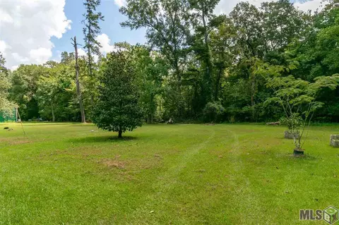 31896 Beasley Rd, Walker, LA 70785 photo 4