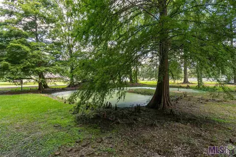 31896 Beasley Rd, Walker, LA 70785 photo 19