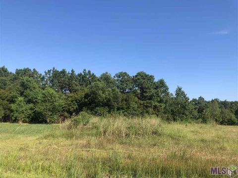 26410 Ponchatoula Dr, Springfield, LA 70462 photo 1