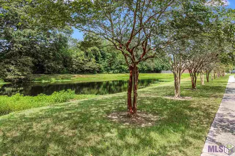 11250 Peaks Ave, Walker, LA 70785 photo 38