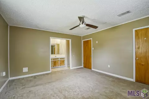 33805 N Walker Dr, Walker, LA 70785 photo 17