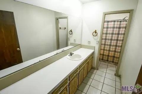 33805 N Walker Dr, Walker, LA 70785 photo 23