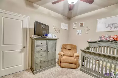 31044 Lake Spring Dr, Walker, LA 70785 photo 14