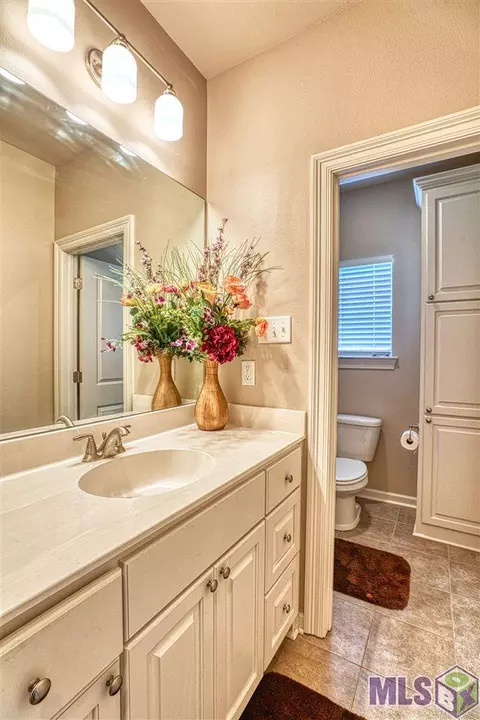 31044 Lake Spring Dr, Walker, LA 70785 photo 17