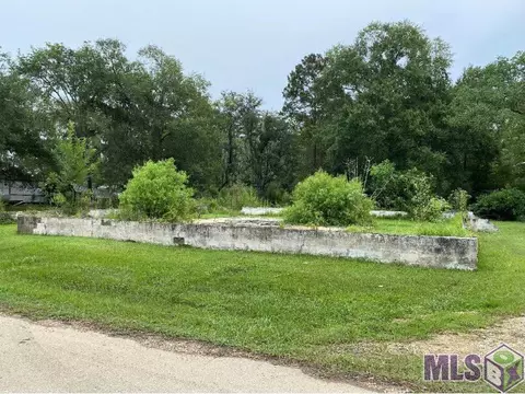 13020 Deer St, Maurepas, LA 70449 photo 2
