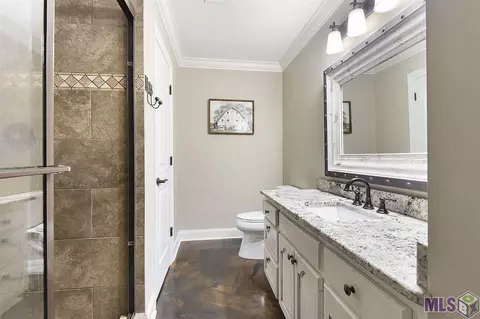 13241 David Lee Dr, Walker, LA 70785 photo 9
