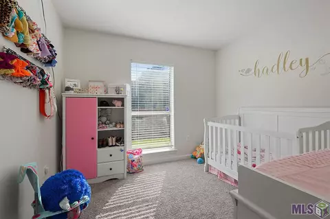 13676 South Trce, Walker, LA 70785 photo 9