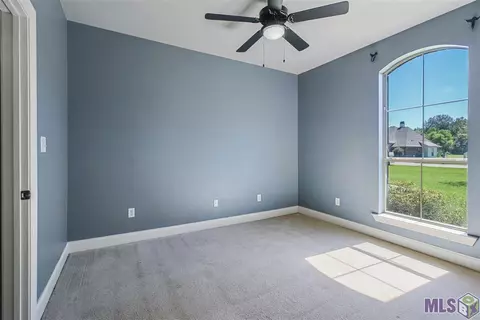 13711 Grace Ave, Walker, LA 70785 photo 25