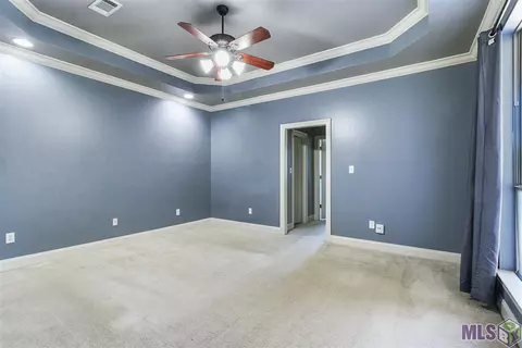 13711 Grace Ave, Walker, LA 70785 photo 19