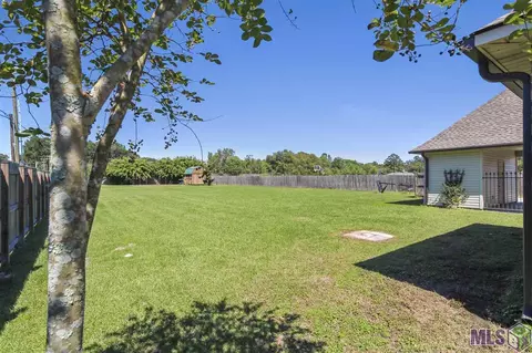 13711 Grace Ave, Walker, LA 70785 photo 39