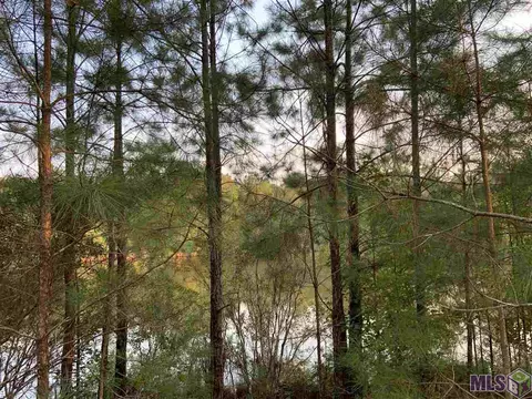 30704 Wild Iris Way, Springfield, LA 70462 photo 6