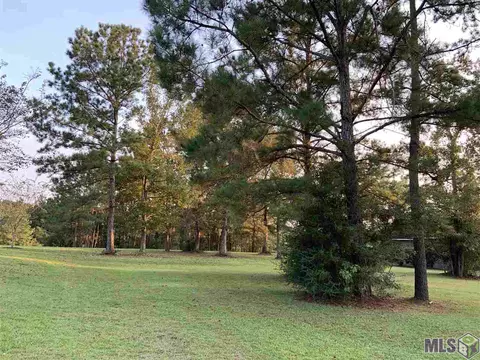30704 Wild Iris Way, Springfield, LA 70462 photo 4