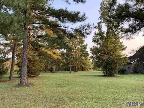30704 Wild Iris Way, Springfield, LA 70462 photo 3