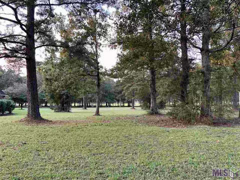 30704 Wild Iris Way, Springfield, LA 70462 photo 2