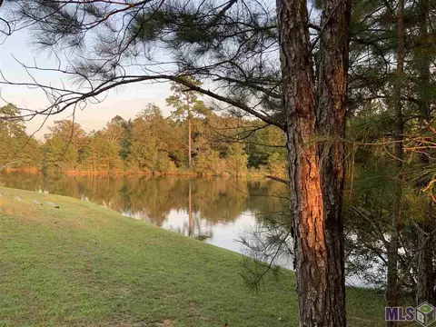 30704 Wild Iris Way, Springfield, LA 70462 photo 5