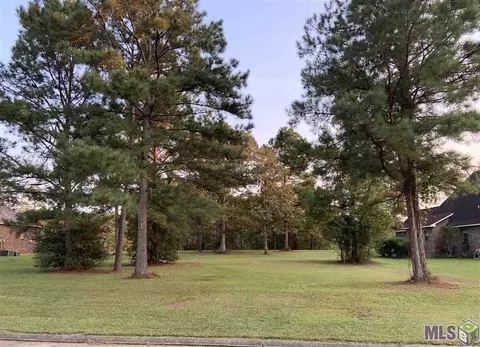 30704 Wild Iris Way, Springfield, LA 70462 photo 1
