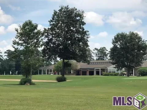 30704 Wild Iris Way, Springfield, LA 70462 photo 7