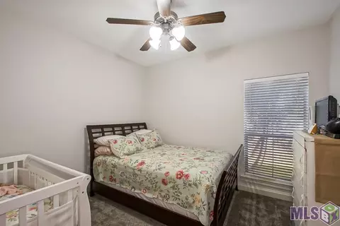 34152 Spring Lake Dr, Walker, LA 70785 photo 25