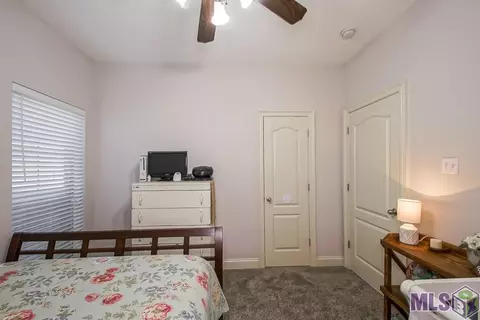 34152 Spring Lake Dr, Walker, LA 70785 photo 26
