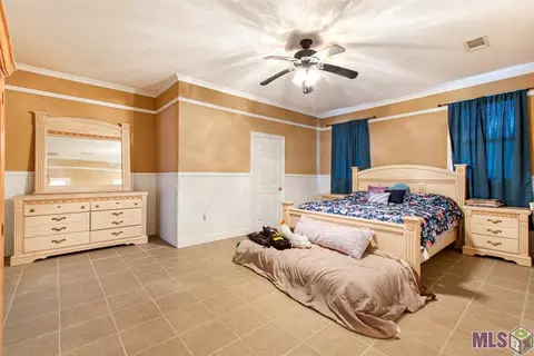31335 River Pines Dr, Springfield, LA 70462 photo 11