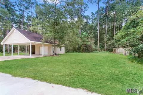 31335 River Pines Dr, Springfield, LA 70462 photo 25