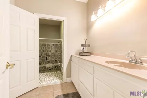 31335 River Pines Dr, Springfield, LA 70462 photo 13