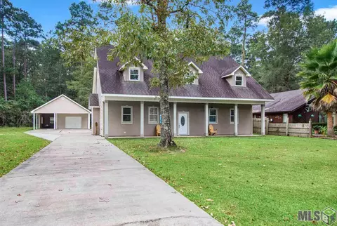 31335 River Pines Dr, Springfield, LA 70462 photo 27