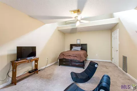 31335 River Pines Dr, Springfield, LA 70462 photo 17