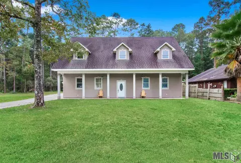 31335 River Pines Dr, Springfield, LA 70462 photo 1
