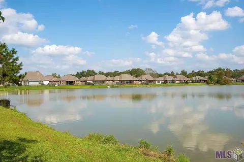 13335 Williamsburg Dr, Walker, LA 70785 photo 5