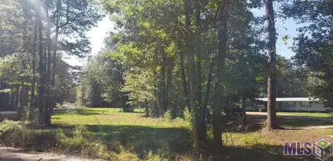 37675 Joe Lee Rd, Walker, LA 70785 photo 13
