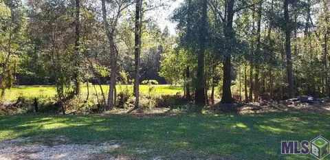 37675 Joe Lee Rd, Walker, LA 70785 photo 17