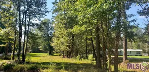 37675 Joe Lee Rd, Walker, LA 70785 photo 9