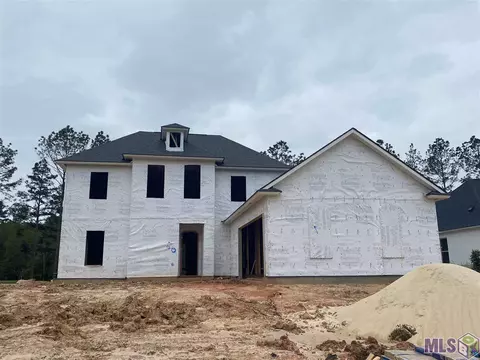 30644 Bluewing Cres, Springfield, LA 70462 photo 1