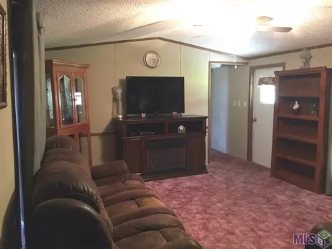 29685 Lower Rome Rd, Springfield, LA 70462 photo 8