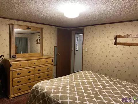 29685 Lower Rome Rd, Springfield, LA 70462 photo 15