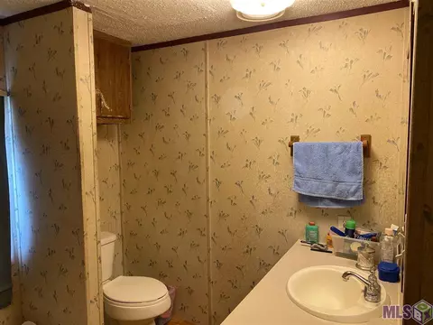29685 Lower Rome Rd, Springfield, LA 70462 photo 16