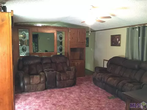 29685 Lower Rome Rd, Springfield, LA 70462 photo 7
