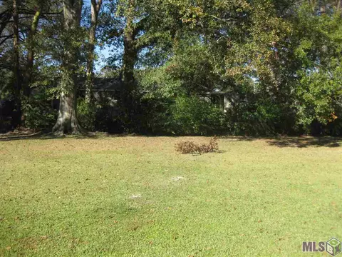 14321 Latil St, Walker, LA 70785 photo 9